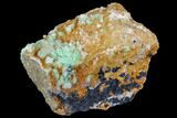 Rosasite and Selenite Crystal Association - Morocco #104168-1